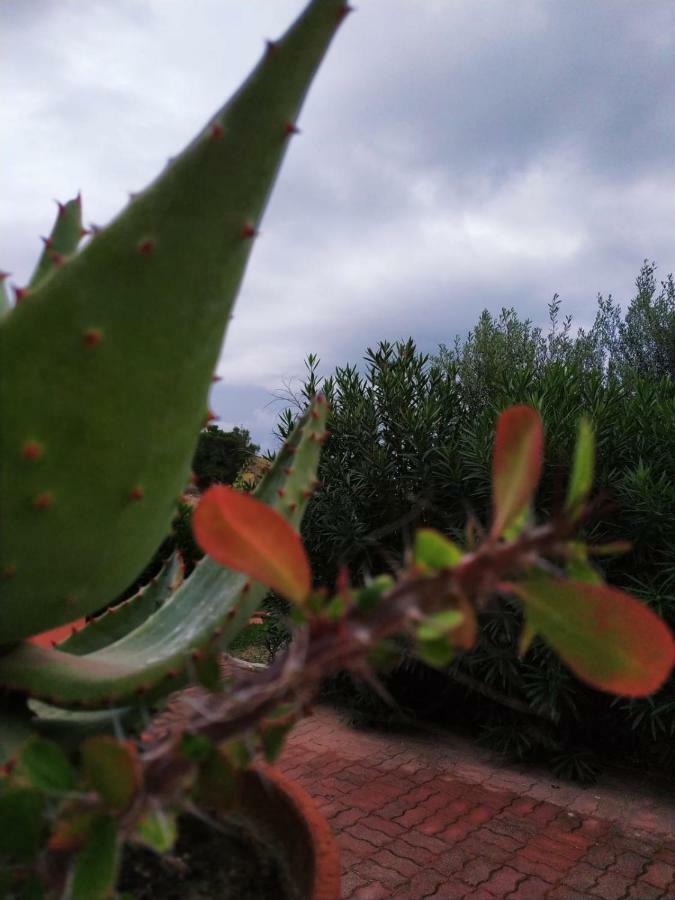 ריאלמונטה Casa Vacanza Rosariomaria מראה חיצוני תמונה